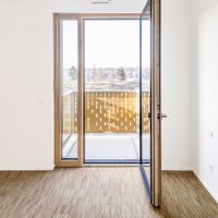Gauer Neckarbogen 06.jpg