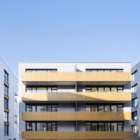 Gauer Neckarbogen 03.jpg